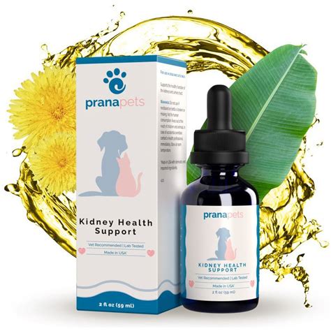 prada pets|prana pets kidney support.